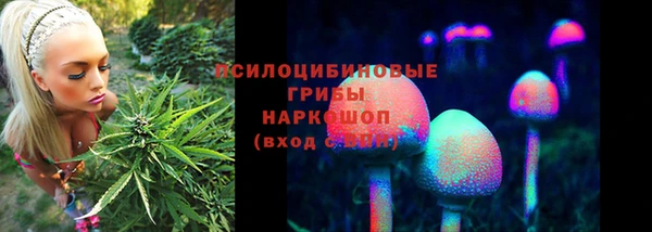 хмурый Балахна
