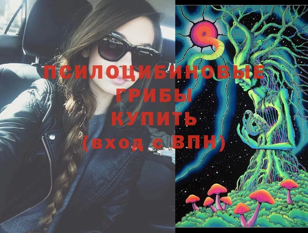 спиды Вяземский