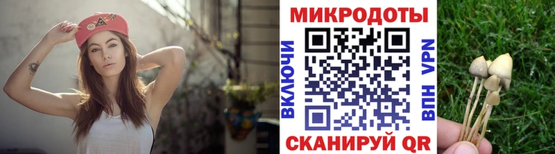 Псилоцибиновые грибы MAGIC MUSHROOMS  наркошоп  Кропоткин 